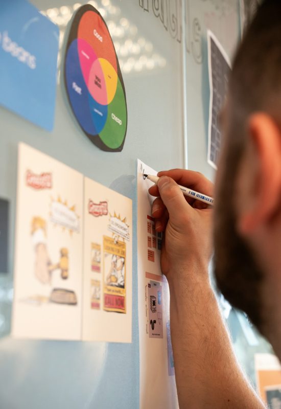 Meat processing plant food safety inspection